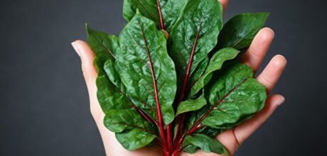 A importância da vitamina K na coagulação sanguínea e sua função essencial